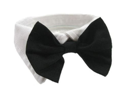 Collar and Bow Tie Set