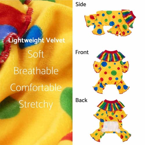 Colorful Dots Dog Clown Costume