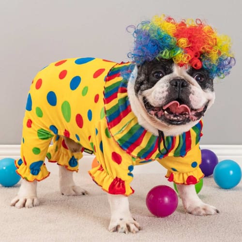 Colorful Dots Dog Clown Costume