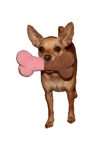 Crochet Bone Dog Toy
