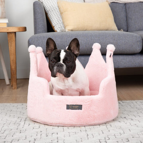 Dog sitting in a pink pet bed with a gray couch and wooden table in the background