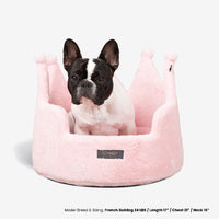 Thumbnail for Dog sitting in a pink pet bed with a white background