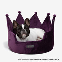 Thumbnail for Crown Dog & Cat Fun Bed Cloud Prive Collection - Royal Purple