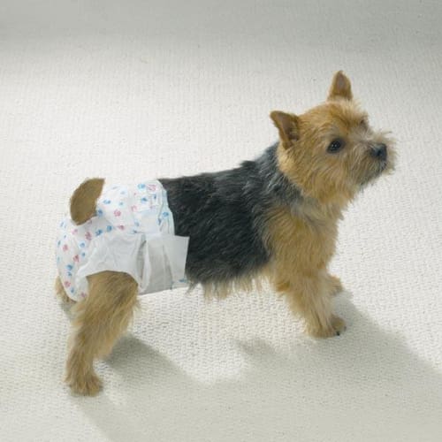 Disposable Dog Diapers