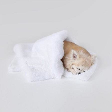 Divine Dog Blanket - White