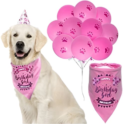 Dog Birthday Girl Set