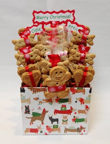 Dog Bone Treat Christmas Gift Basket