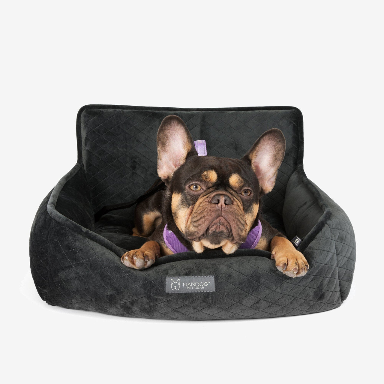 The Car Seat Charcoal Gray M