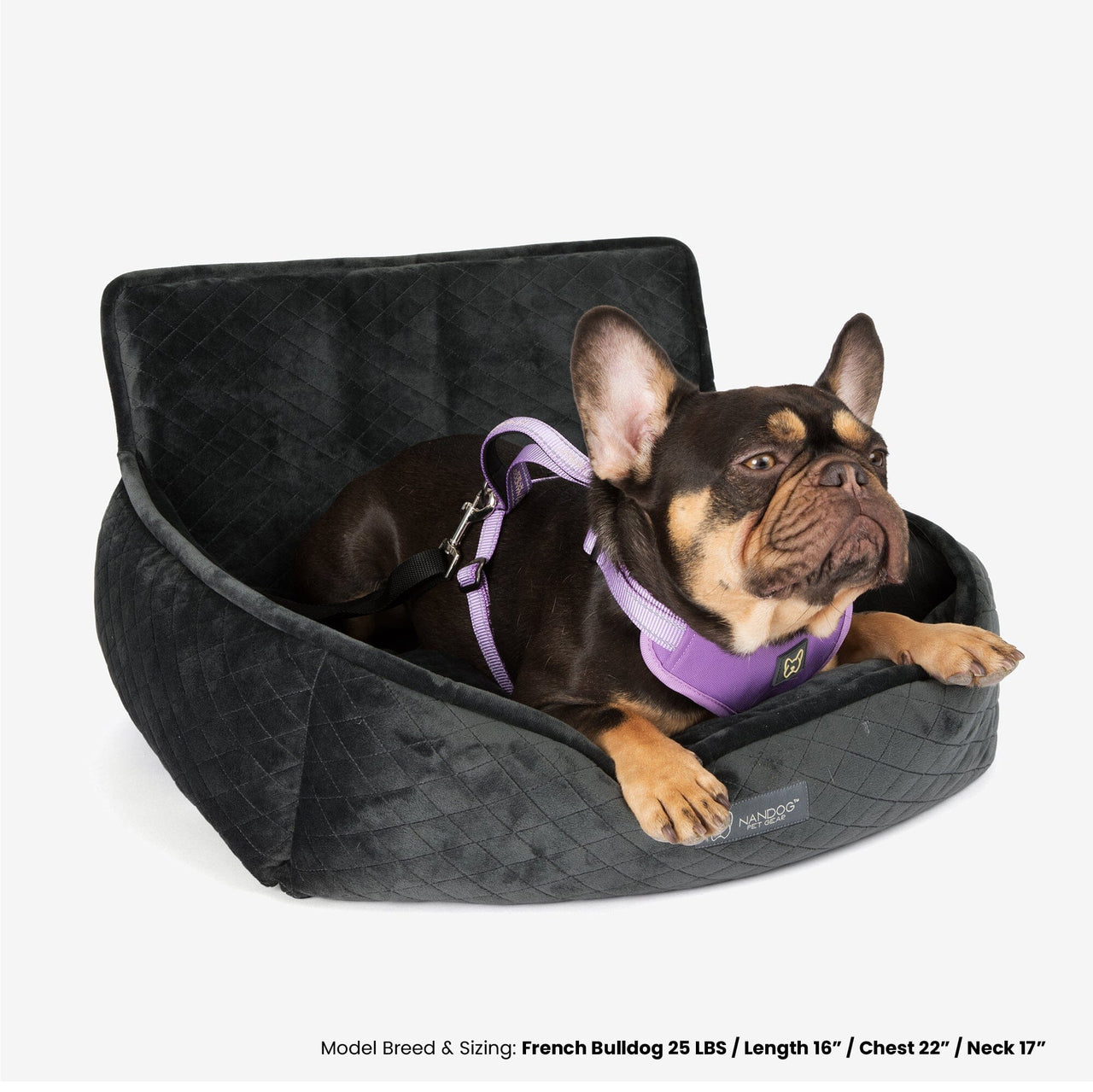The Car Seat Charcoal Gray M