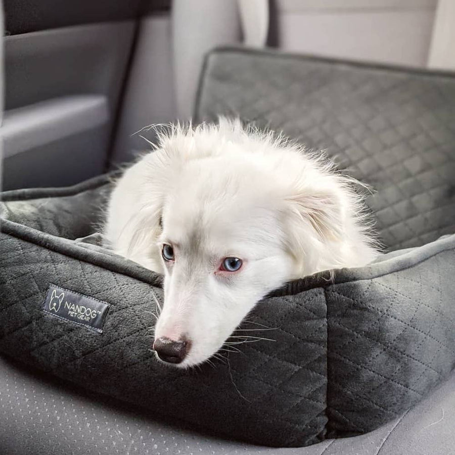 The Car Seat Charcoal Gray M