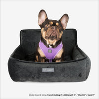 Thumbnail for The Car Seat Charcoal Gray M