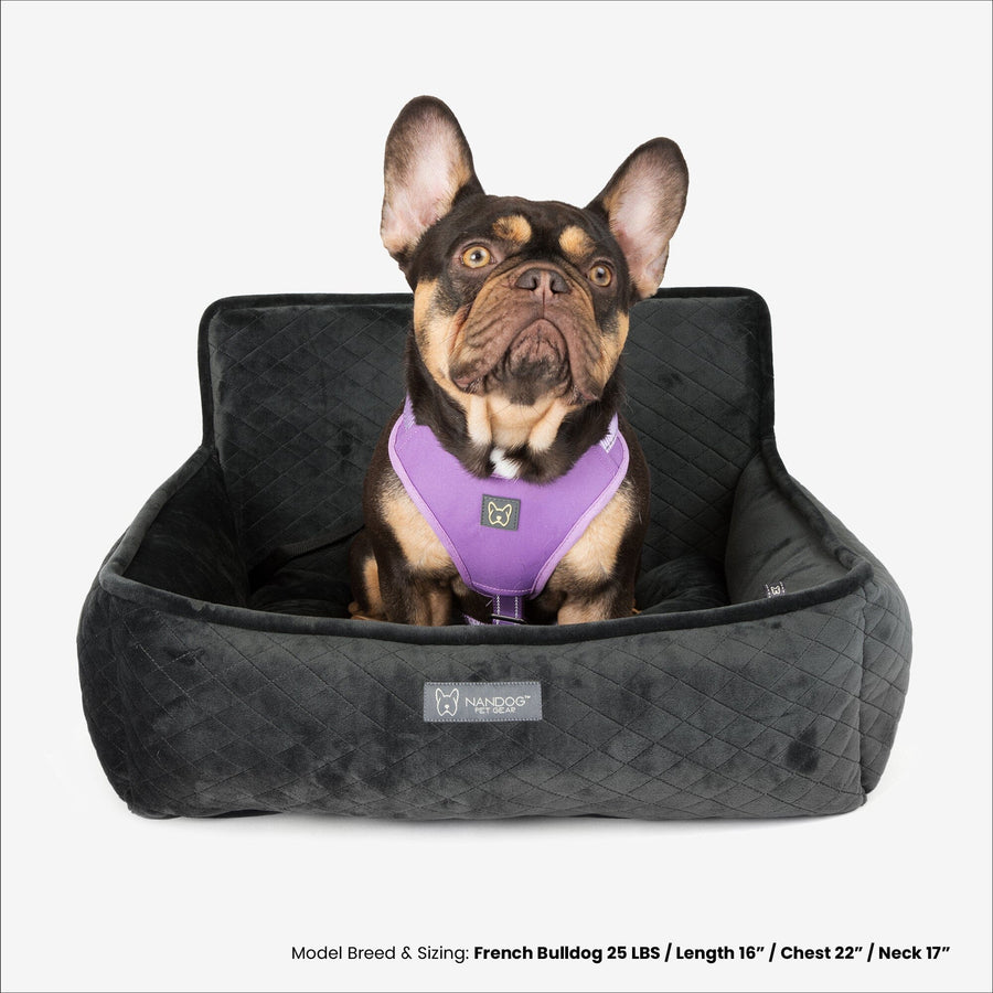 The Car Seat Charcoal Gray M
