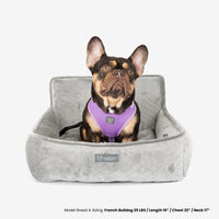 Thumbnail for The Car Seat Pearl River Gray M