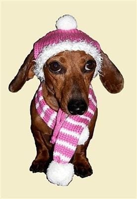 Dog Hat and Scarf Set - Bubblegum Pink