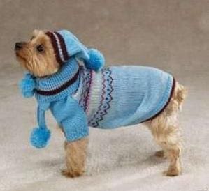 Dog Ski Sweater Set - Blue