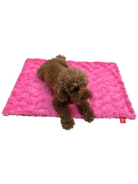 Thumbnail for Bella Dog Blanket, Hot Pink