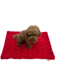 Thumbnail for Blanket, Bella Red