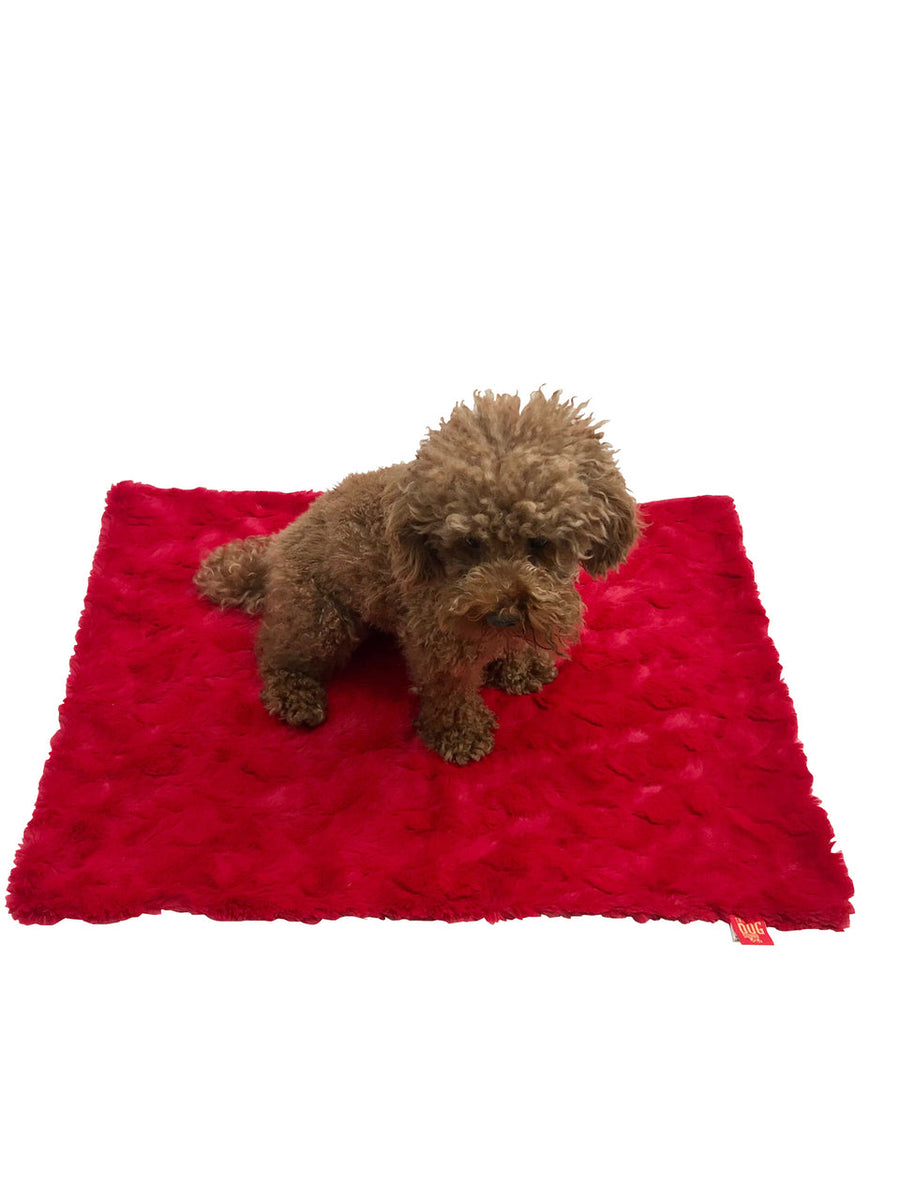 Blanket, Bella Red