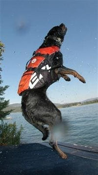 Thumbnail for Doggy Flotation Device