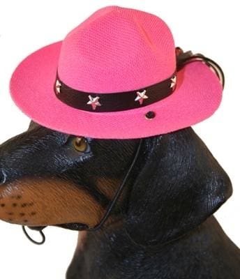 Drill Sergeant Dog Hat