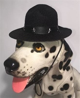 Drill Sergeant Dog Hat