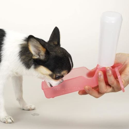 Drink Dispenser for Small Pets