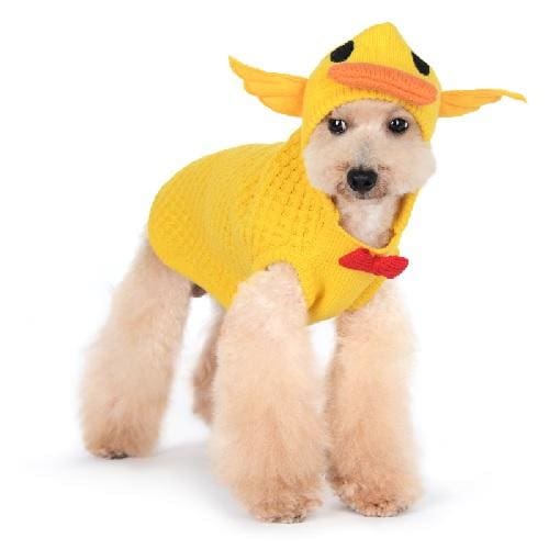 Duck Dog Sweater