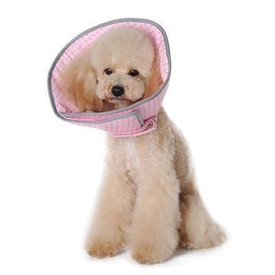 E Recovery Collar for Pets