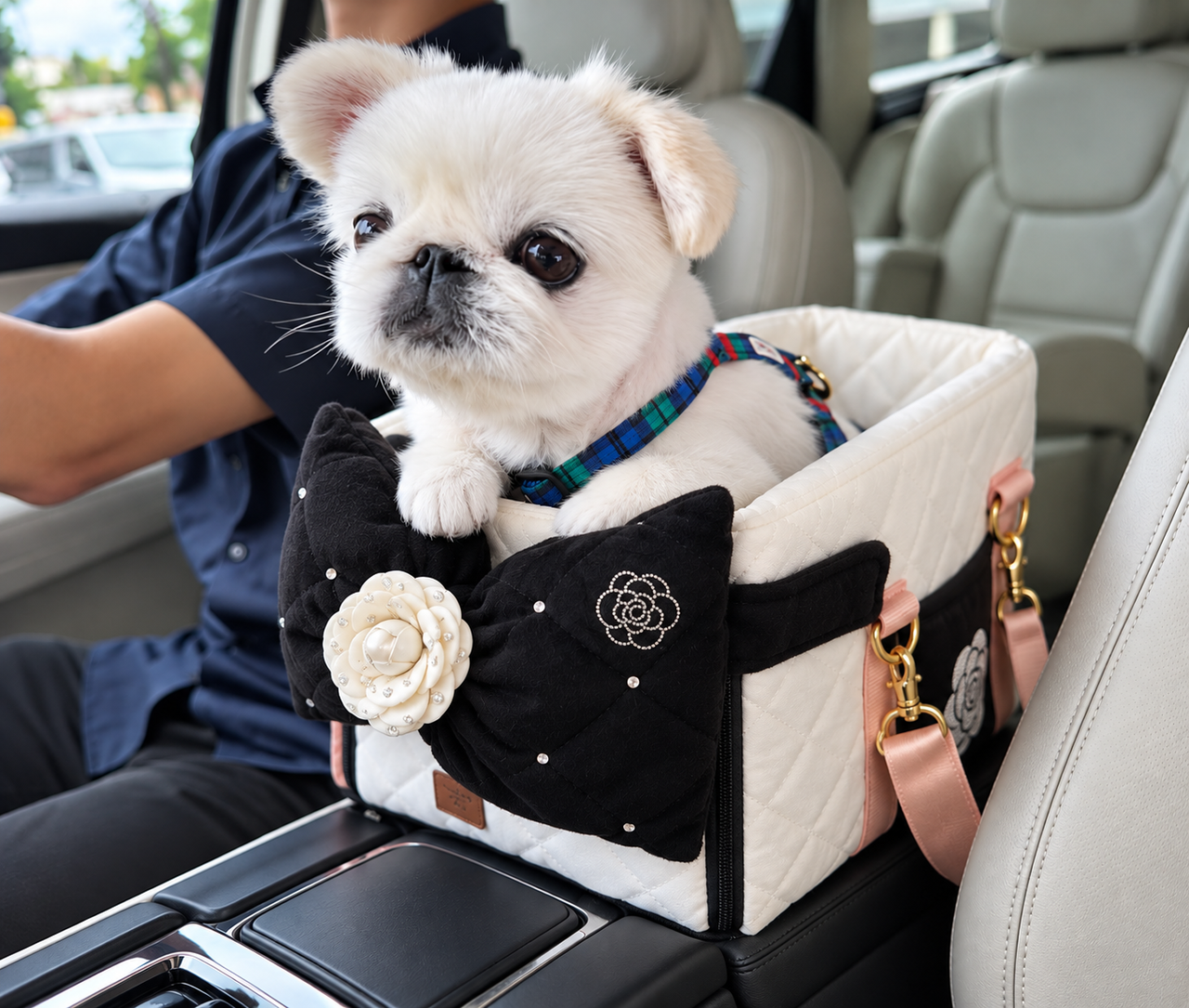 2-in-1 Pet Car Seat & Carrier