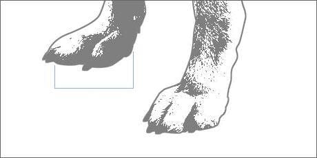 East Side Collection Gingham Dog Boots