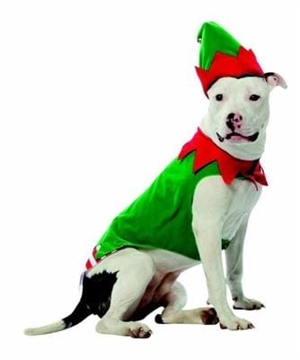 Elf Dog Costume