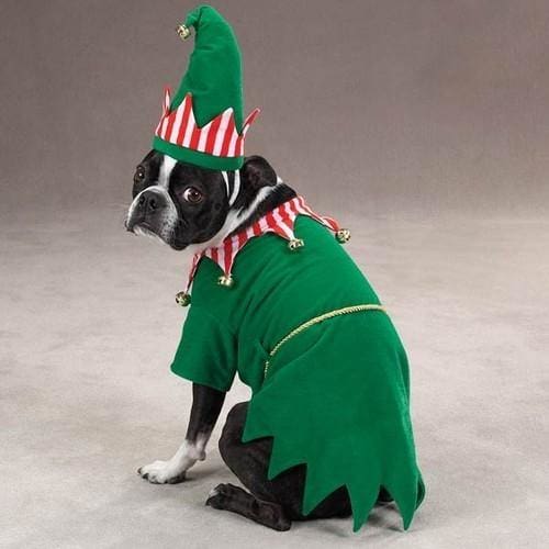 Elf Dog Costume