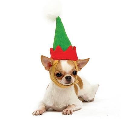 Elf Dog Hat