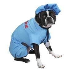 ER Doctor Dog Costume