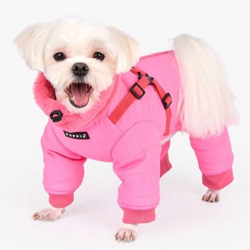 Everson Dog Snow Suit