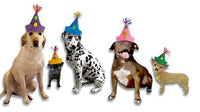 Thumbnail for Fabric Dog Birthday Hat