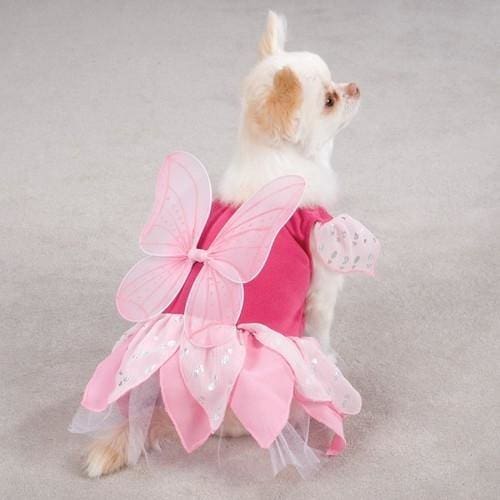 Fairy Tails Pet Costume