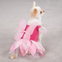 Thumbnail for Fairy Tails Pet Costume