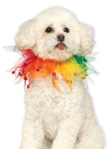 Fancy Rainbow Pet Collar