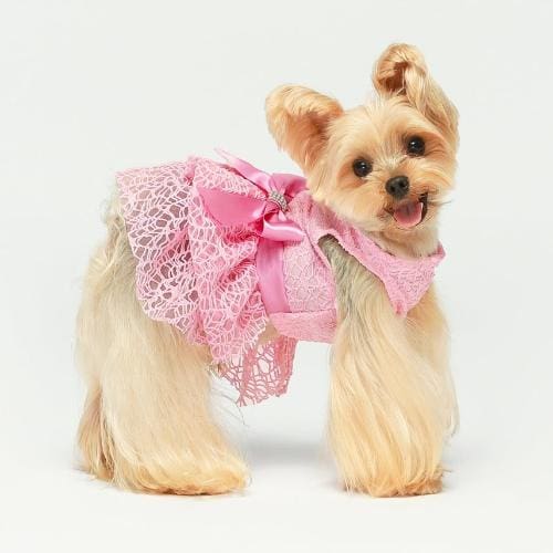 Fancy Tulle Pink Dog Dress