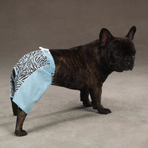 Fashion Zebra Dog Shorts