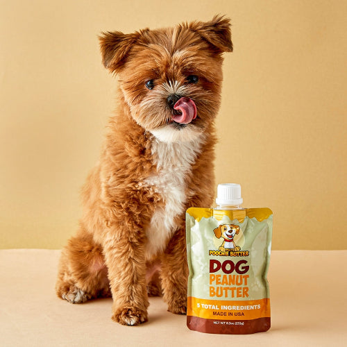 Dog with a pouch of Pooch & Co. Dog Peanut Butter on a beige background