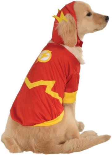 Flash Dog Costume