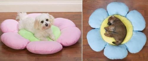 Flower Dog Bed - Blue