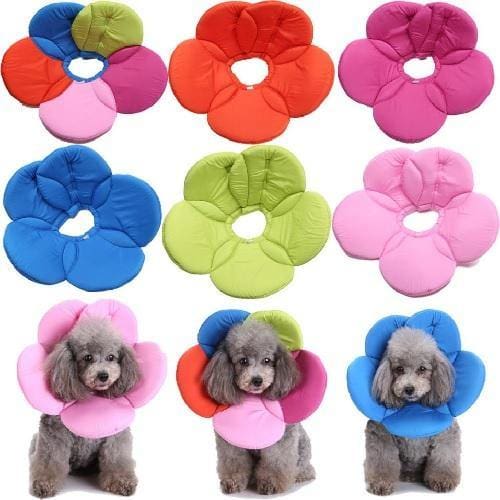 Flower E Collar for Pets