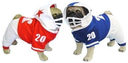 Shop Nfl Dog Sweaters