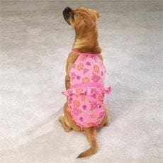 Fruit Bowl Bathing Suit for Dogs