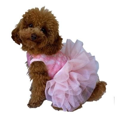 Fufu Tutu Dog Dress - Pink Lace