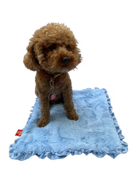 Thumbnail for Carrier Square Ruffled Blanket, Bella Light Blue