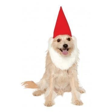 Garden Gnome Dog Hat with Beard